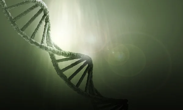 Dna-Molekül — Stockfoto