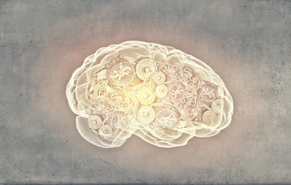 Человеческий мозг — стоковое фото