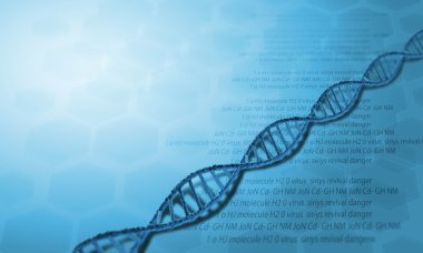 DNA molekülü