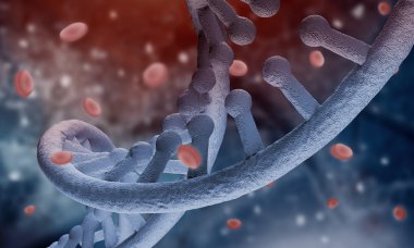 DNA molekülü