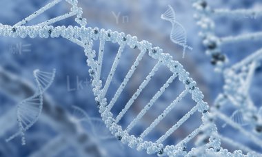 DNA molekülü