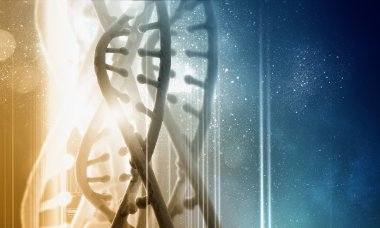 DNA molekülü