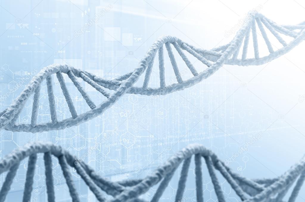 DNA molecule