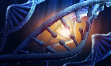 DNA molekülü
