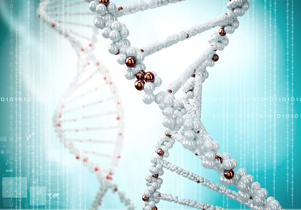 DNA-molecule — Stockfoto