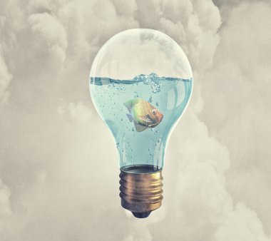 ampul içinde balık