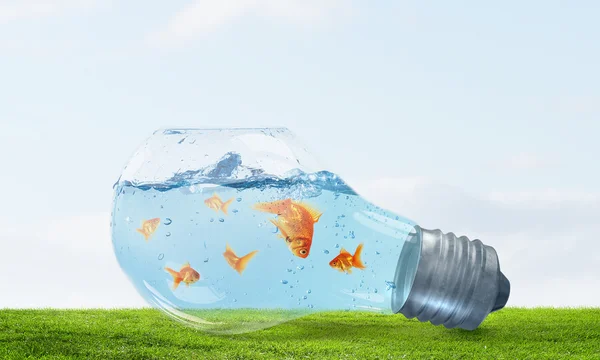 Fish in bulb — Stock Photo, Image