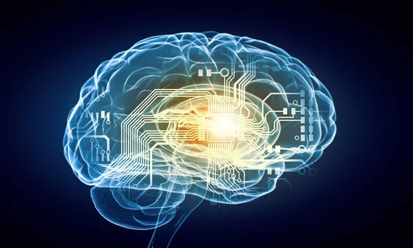 Human brain — Stock Photo, Image