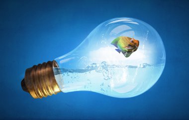 ampul içinde balık