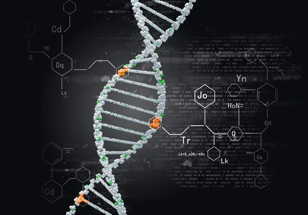 DNA-molekylen — Stockfoto