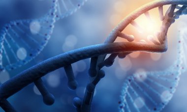 DNA molekülü