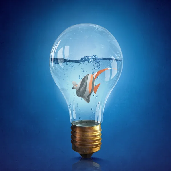 Fiska i bulb — Stockfoto