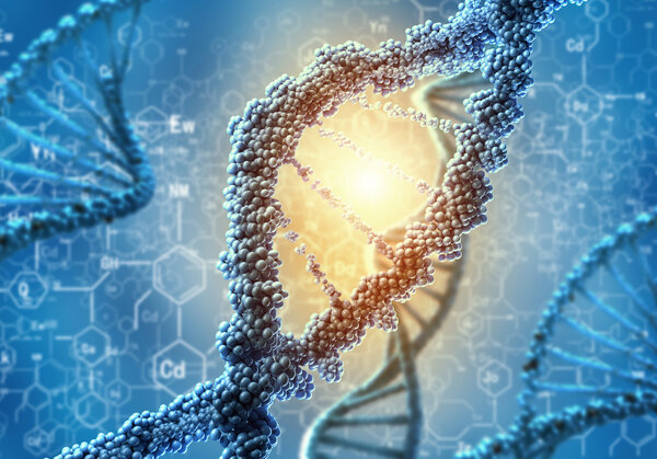 DNA molecule