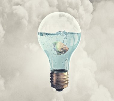 ampul içinde balık