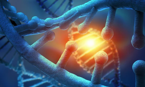 DNA molecule Stock Photo