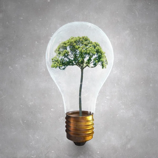 Ecology and energy — Stock Photo, Image