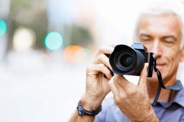 À la recherche de bonnes pousses — Photo