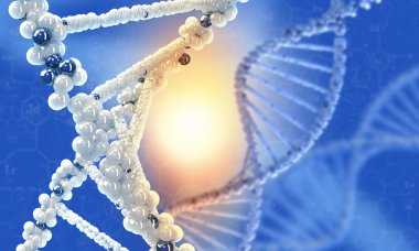 DNA molekülü. Kavram görüntü