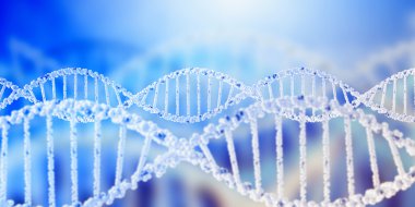 DNA molekülü. Kavram görüntü