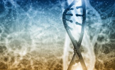 DNA molekülü. Kavram görüntü