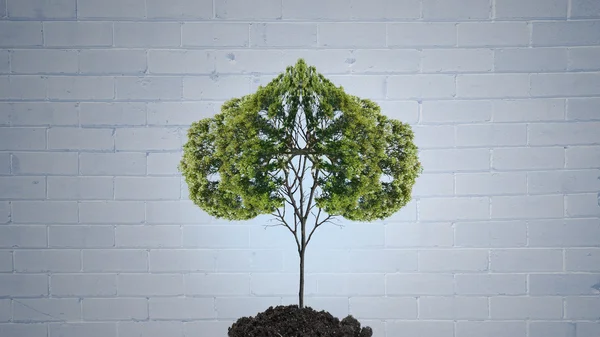 Green tree. Concept image — Stock Photo, Image