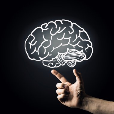 İnsan beyni. Kavram görüntü