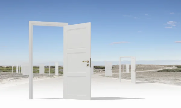 Opened doors in field — Stock Photo, Image