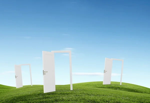 Opened doors in field — Stock Photo, Image