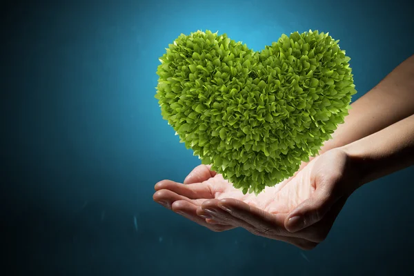 Cuore verde nelle mani — Foto Stock