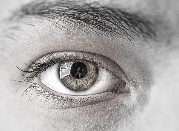 Woman eye. Concept image — Stock Photo, Image