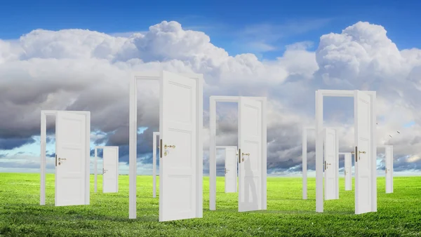 Opened doors in field — Stock Photo, Image