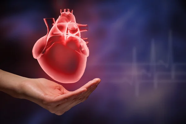 Heart care concept — Stock Photo, Image