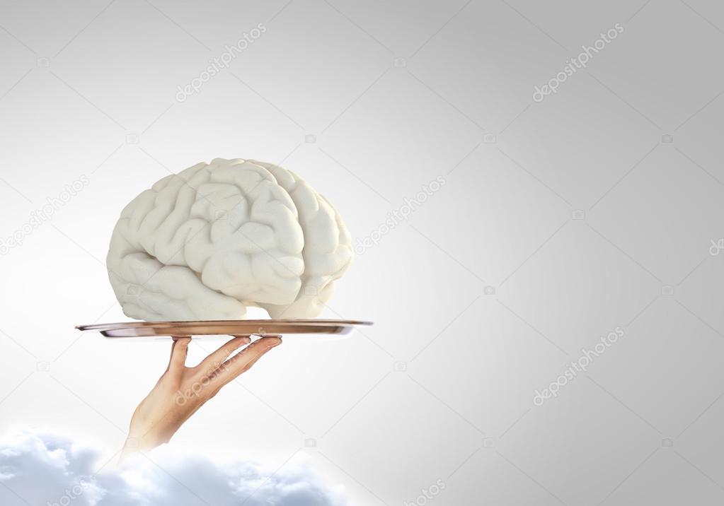 Brain on metal tray