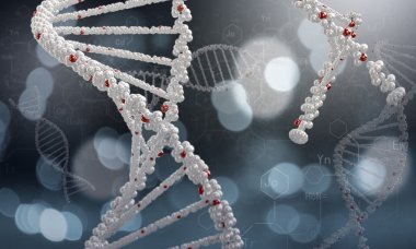 DNA molekülü. Kavram görüntü