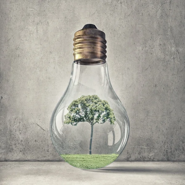 Concept groene energie — Stockfoto