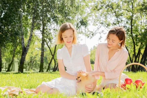 Nel parco con animali domestici amorevoli — Foto Stock