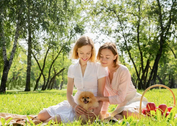 Nel parco con animali domestici amorevoli — Foto Stock