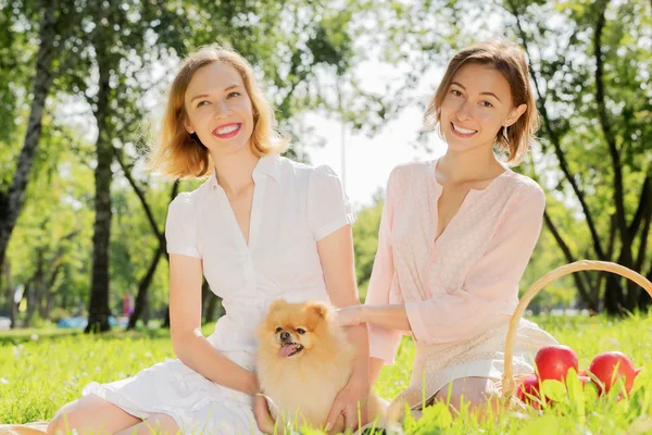 Nel parco con animali domestici amorevoli — Foto Stock