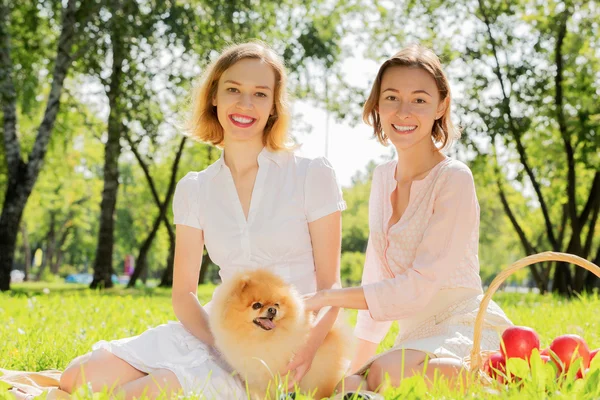 Nel parco con animali domestici amorevoli — Foto Stock