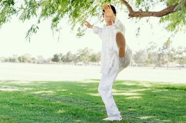 Yakışıklı adam Thai Chi yapıyor.