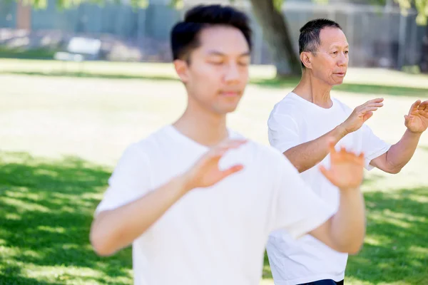 Människor som utövar thai chi i park — Stockfoto