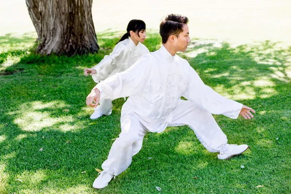 Schöner Mann praktiziert thai chi — Stockfoto