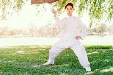 Yakışıklı adam Thai Chi yapıyor.