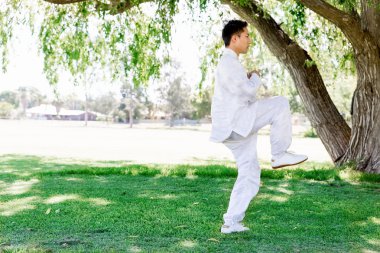 Yakışıklı adam Thai Chi yapıyor.