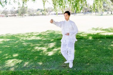 Yakışıklı adam Thai Chi yapıyor.