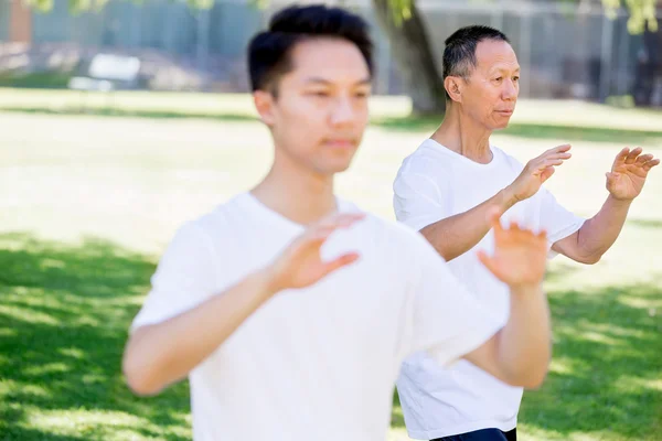 사람들이 공원에서 타이 치 연습 — 스톡 사진