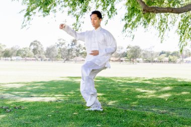 Yakışıklı adam Thai Chi yapıyor.