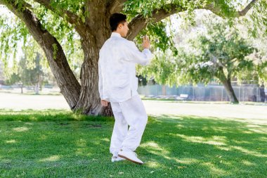 Yakışıklı adam Thai Chi yapıyor.