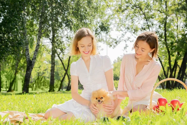 Im Park mit liebevollem Haustier — Stockfoto