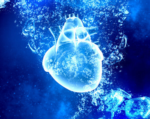 Human heart under water